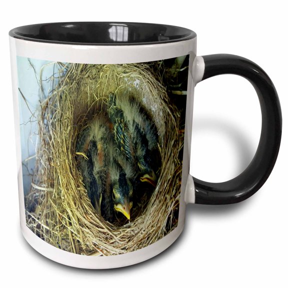 3drose, Baby Birds Robins Nest, 11oz Two-tone Black Mug