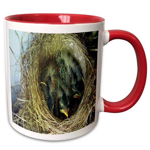 3drose, Baby Birds Robins Nest, 11oz Two-tone Red Mug