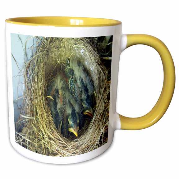 3drose, Baby Birds Robins Nest, 11oz Two-tone Yellow Mug