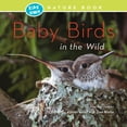thumbnail image 1 of Baby Birds in the Wild (Paperback), 1 of 1