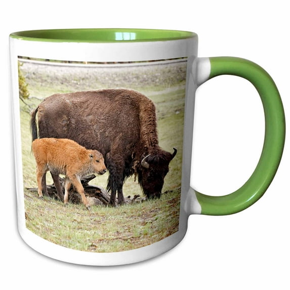 3drose, Baby Bison, Yellowstone National Park, Wyoming - Us51 Aje0034 - Adam Jones, 15oz Two-tone Green Mug