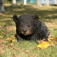 thumbnail image 1 of Baby Black Bear Crawling, 1 of 5