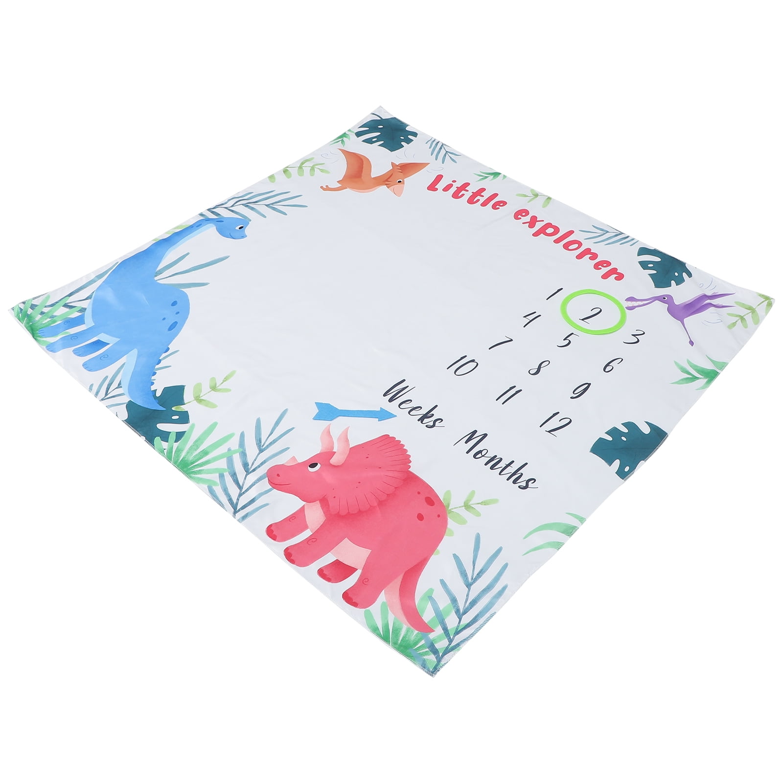 Baby Blanket Milestone Newborn Monthly Photo Growth Month Mat Blankets