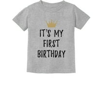 Baby Boy Girl 1st Birthday Gift One Year Old Birthday Crown Infant Kids T-Shirt 18M Gray