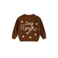 thumbnail image 1 of Baby Boy Girl Halloween Oversized Knit Sweater Letter Pumpkin Chunky Long Sleeve Pullover Sweater Shirts Warm Fall Winter Tops Clothes, 1 of 8