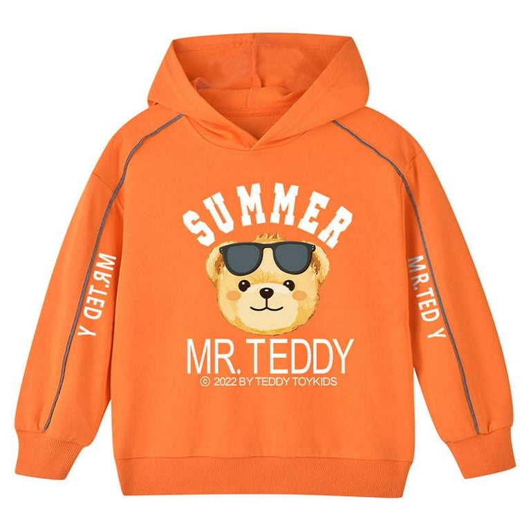 Teddy bear multicolor hoodie best sale