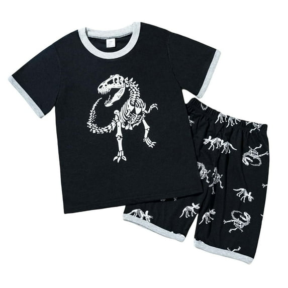 Baby Boy Outfit Toddler Kids Boys Summer Dinosaur Print Short Sleeve T Shirt and Shorts Breathable Lightweight 2 Piece Outfit Toddler Boy Outfits BK2 3 Years-4 Years