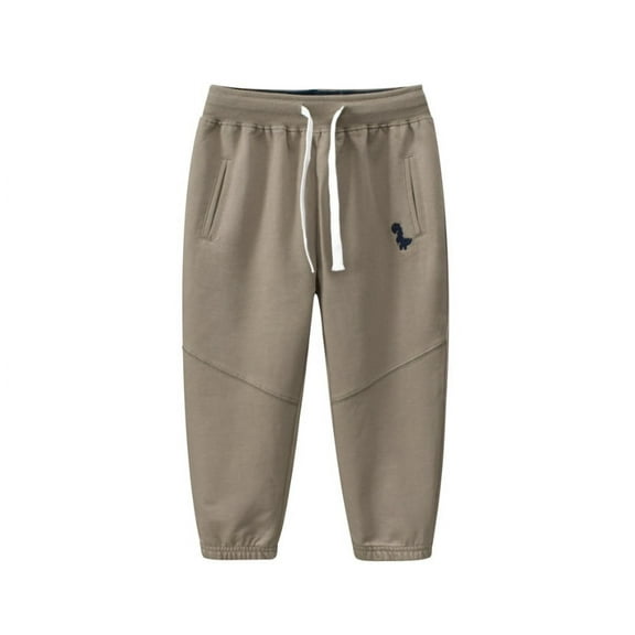 Baby Boy's Pants, Toddler Cotton Pull on Jogger, Kids Dinosaur Drawstring Elastic Sweatpants