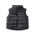 thumbnail image 1 of Baby Boys Girls Puffer Down Vest Toddler Kids Hooded Zip Bear Ear Sleeveless Jacket Winter Lightweight Coat Outwear, 1 of 9