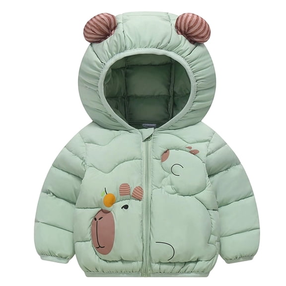 Baby Boys Girls Winter Coats Toddler Light Puffer Down Jacket Infant Kids Bear Hoods Padded Outwear(Color:Light Green,Size:3-4 Years)
