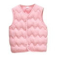 thumbnail image 1 of Baby Boys&Girls Winter Puffer Vest Sleeveless Jacket Warm Padded Vest Cute High Neck Vest Warm Jacket Cute Outerwear With Pockets Fall Winter Outfit Outwear for Boys And Girls Size 2-3, 1 of 3