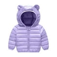 thumbnail image 1 of Baby Boys Winter Coat Little Boys Girls Puffer Coat Cute Bear Ear with Hoods Thicken Windproof Zipper Warm Outwear for Baby Boys Baby Winter Jacket Winter Baby Girl Clothes 3-4 Years, 1 of 3