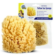 Baby Buddy Natural Baby Bath Sponge 4in Soft Yellow Sea Sponge Soft on Tender Baby Skin, Biodegradable, 1pk