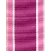 Baby Buddy Polypropylene Grosgrain Ribbon, 0.375in x 100 Yards, Berrysicle