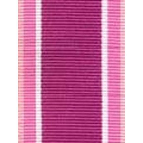 Baby Buddy Polypropylene Grosgrain Ribbon, 0.375in x 100 Yards, Berrysicle