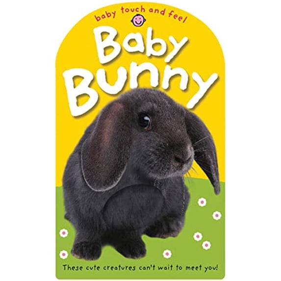Pre-Owned Baby Bunny (Baby Touch and Feel) Paperback