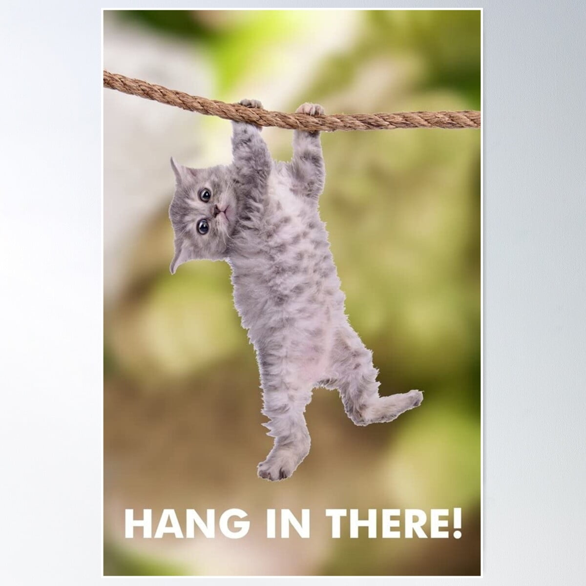 Baby Cat Hang In There Poster Poster Wall Art, Modern Wall Decor For ...