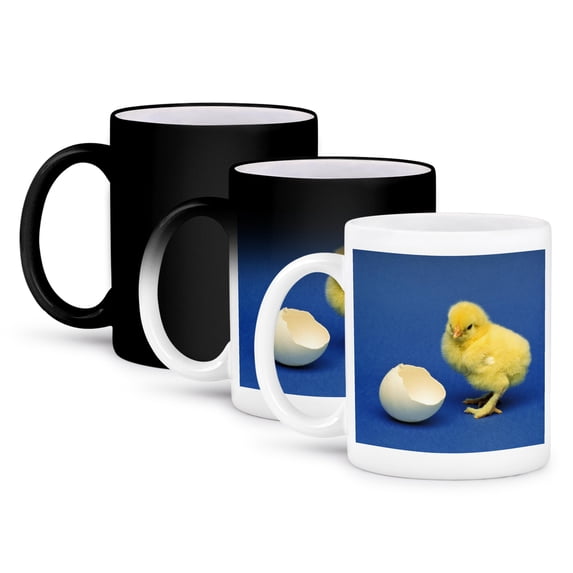 3dRose, Baby chick, bird - NA02 DFR0041 - David R. Frazier, 11oz Magic Transforming Mug