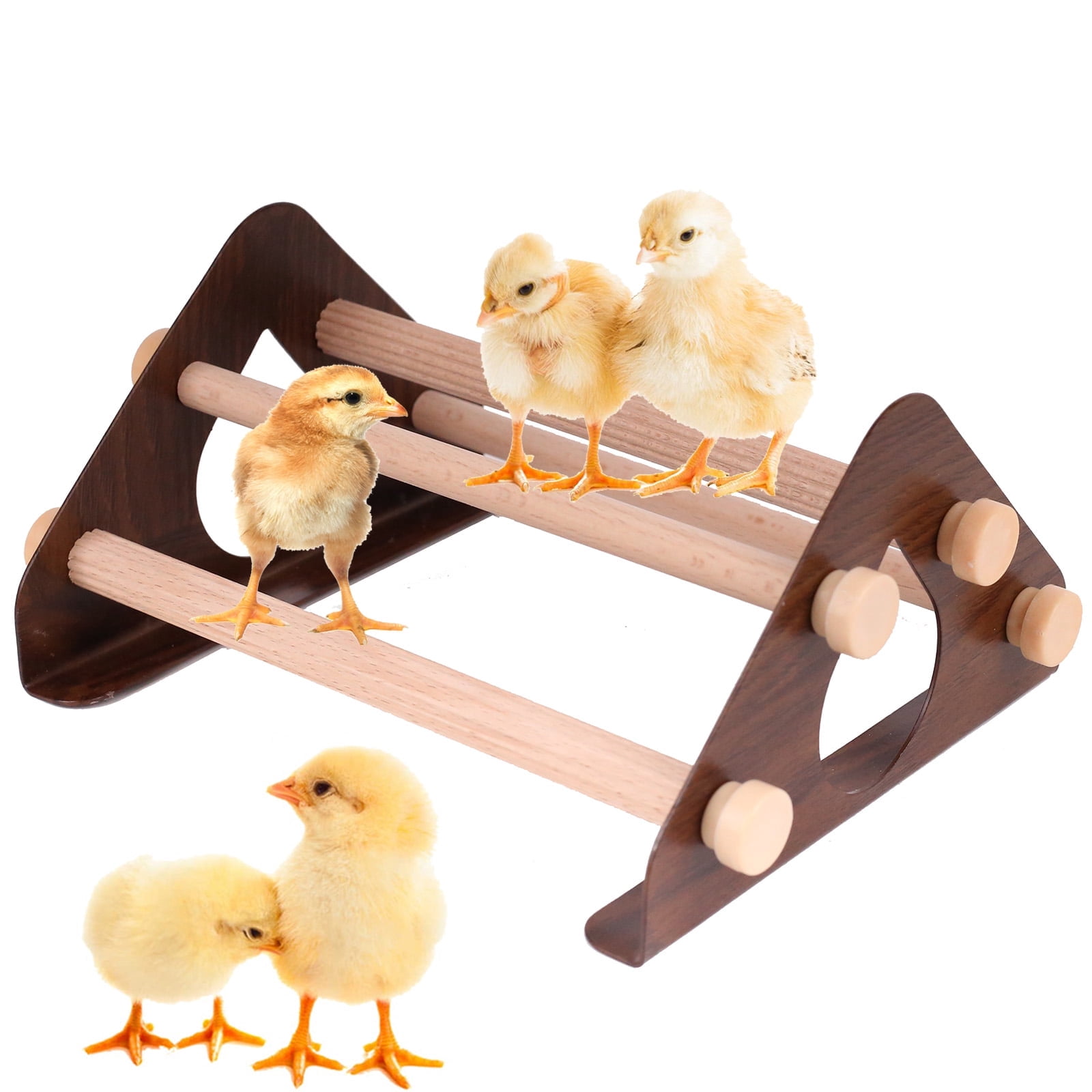 Baby Chick Perch, Durable Metal Stand with Natural Wooden Roosting Bars ...