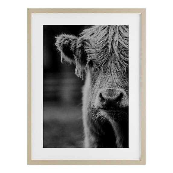 Baby Cow Face Birch Framed Print Under Glass, design by Amy Carroll