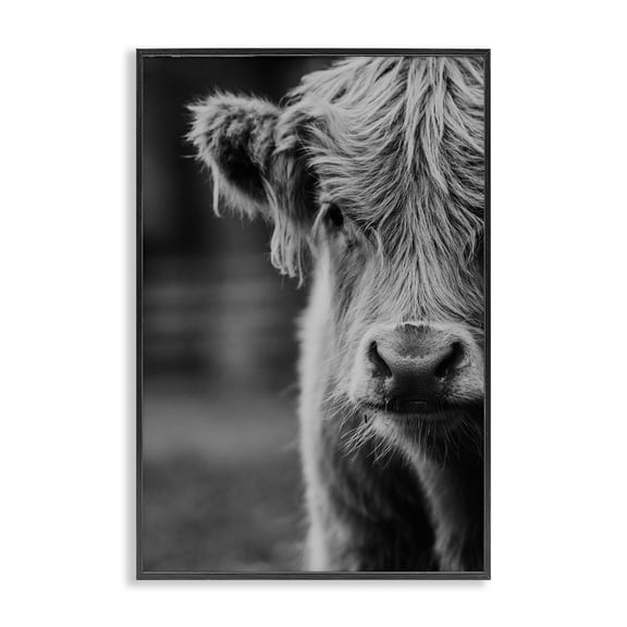 Baby Cow Face Black Framed Giclee Art, design by Amy Carroll