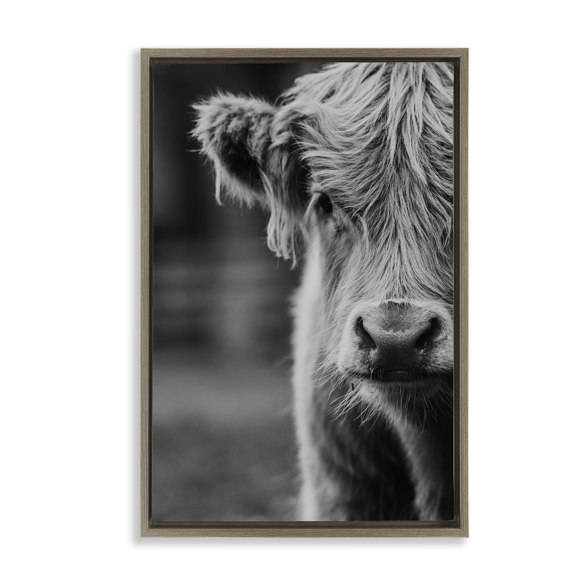 Baby Cow Face Brown Framed Floater Canvas Wall Art, design by Amy Carroll