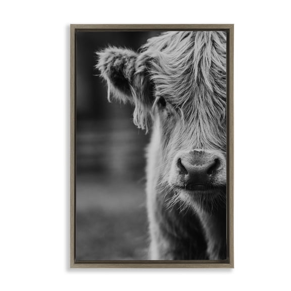 Baby Cow Face Brown Framed Floater Canvas Wall Art, design by Amy Carroll