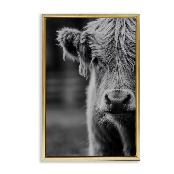 Baby Cow Face Gold Framed Floater Canvas Wall Art, design by Amy Carroll