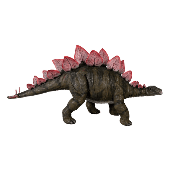 Baby Definitive Stegosaurus Dinosaur Statue