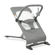 Baby Delight Alpine Deluxe Portable Baby Bouncer, for Infants 0-6 Months, Charcoal Tweed