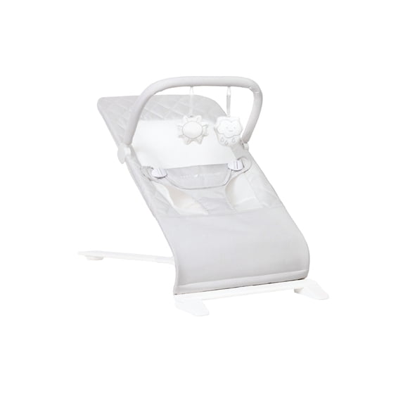 Baby Delight Alpine Portable Baby Bouncer, 3-Position Recline, Lightweight & Foldable, Driftwood Grey