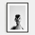 thumbnail image 1 of Baby Duck - Photography Black and White Wildlife Animal Portrait Minimalist Nature Black Framed Wall Art Print 20 x 30 inches, 1 of 8