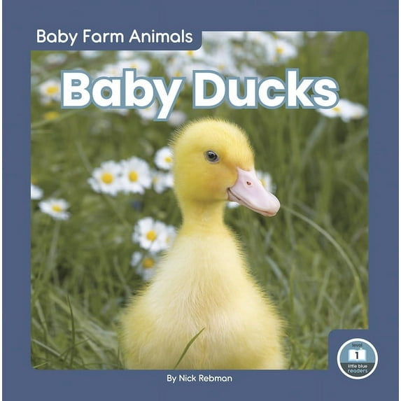 Baby Ducks, (Paperback)