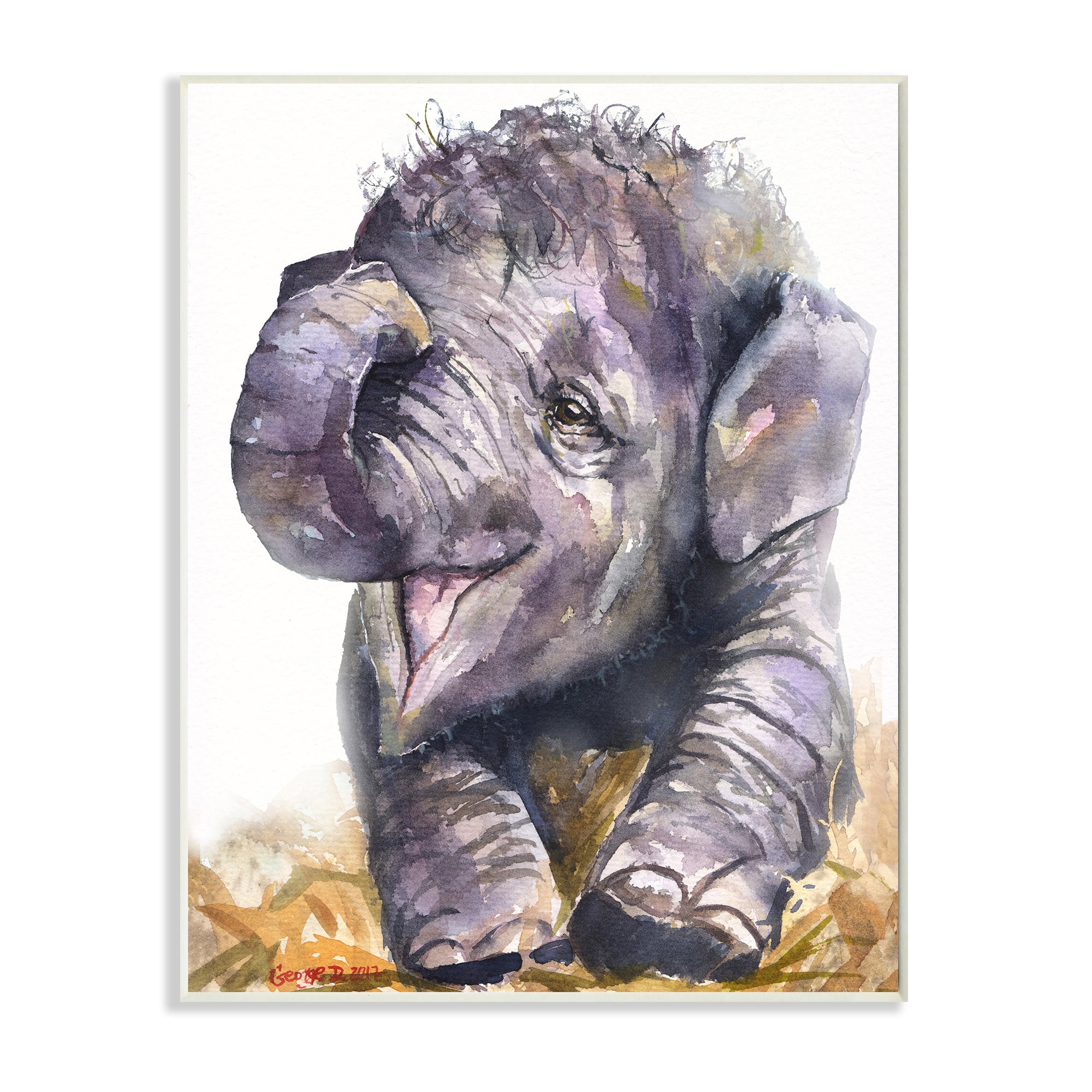 Baby Elephant Yawning Adorable Safari Animal Portrait 13 in x 19 in ...