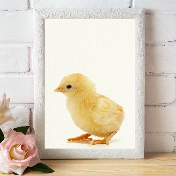 Baby Farm Chick - Nursery Wall Décor Farm Baby Animal Art Print