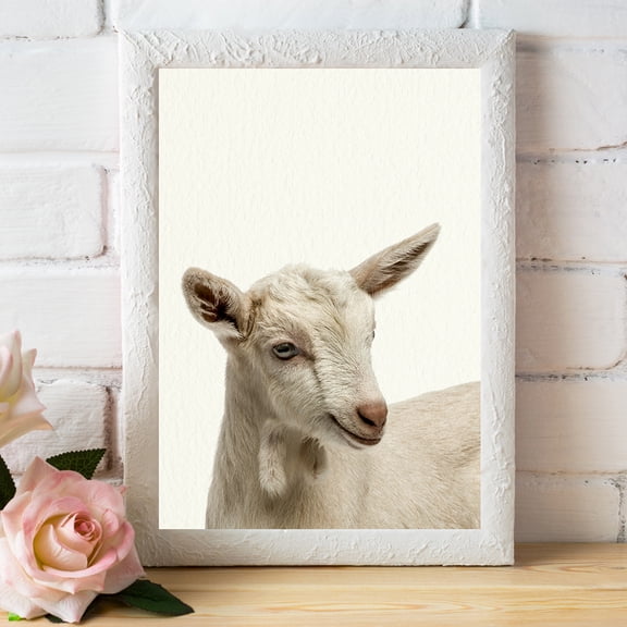 Baby Farm Goat - Nursery Wall Décor Farm Baby Animal Art Print