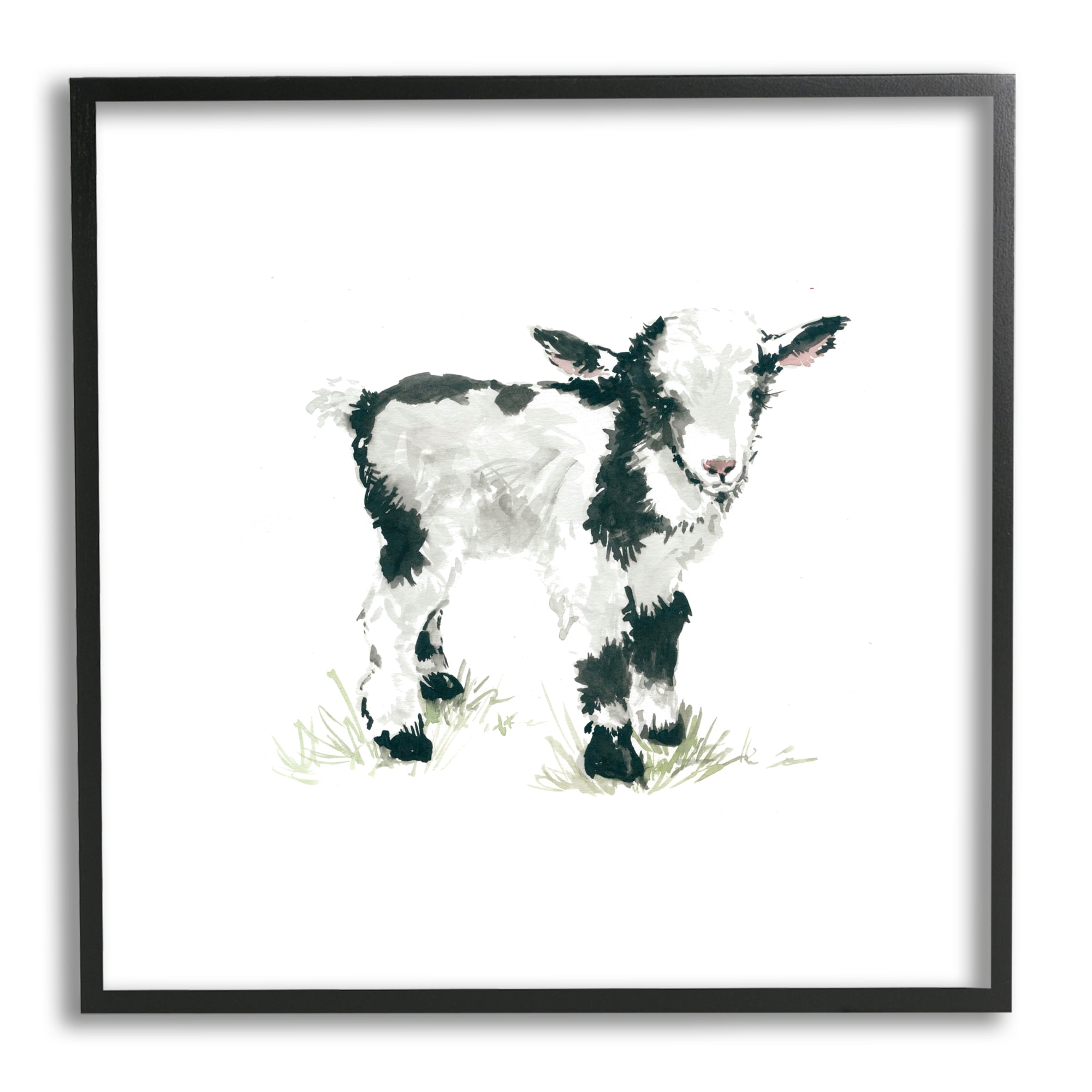 Baby Farm Lamb Minimal Country Animal over White Animals & Insects Framed Art Print Wall Art, 17x17