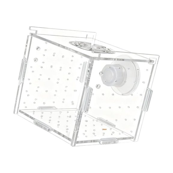Baby Fish Breeding Box Clear Isolation Box Aquarium Hatchery Incubator