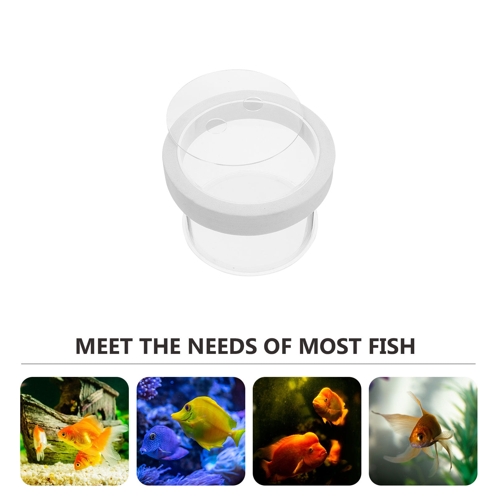 Baby Fish Separator Fish Tank Separate Box Small Fish Breeder Fish Tank