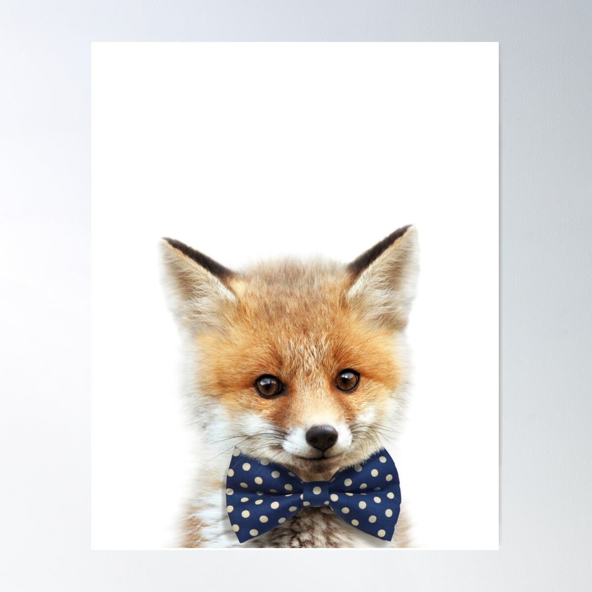 bow tie fox