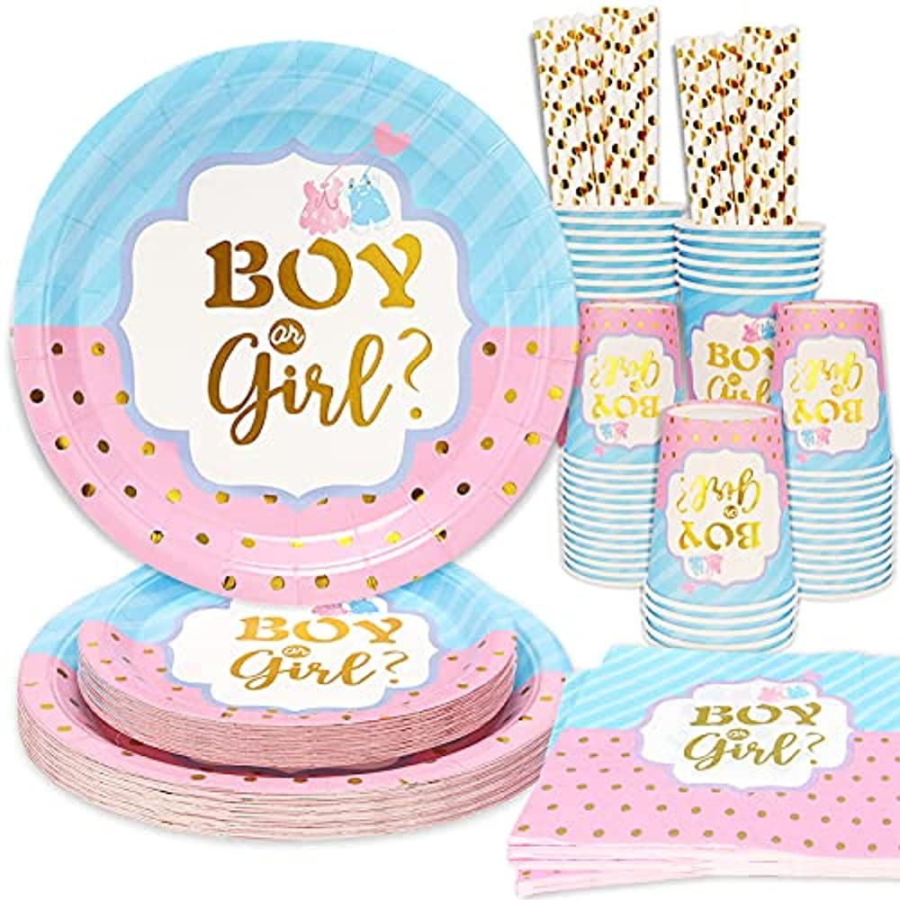 Blue and Pink Gender Reveal Party Supplies Set for 25 Guests