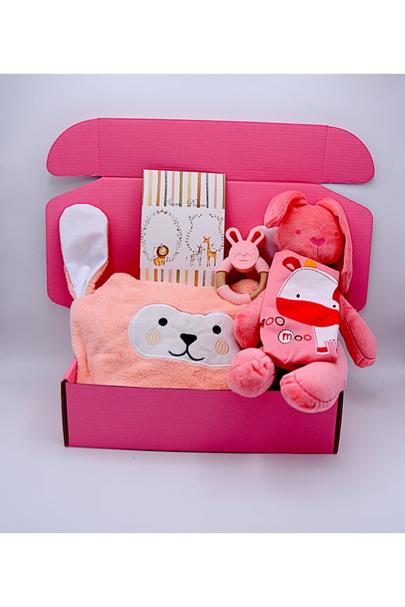 Baby Gift Box / Newborn Gift Set / Baby Girl Gift / Baby Girl Gift / Baby Shower Gift/ Baby Girl Gift Box