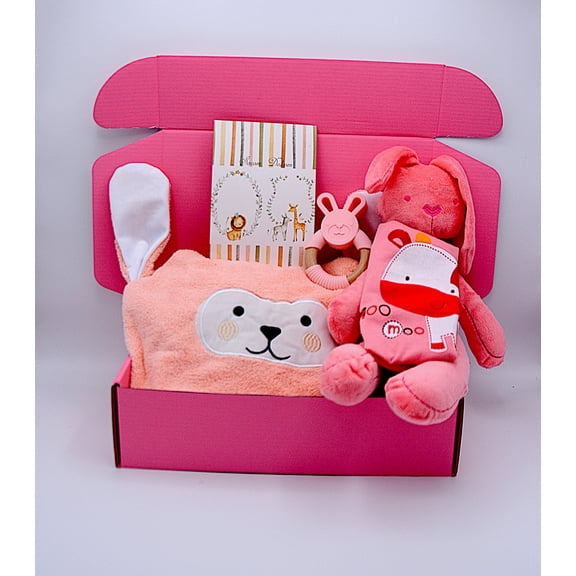 Baby Gift Box / Newborn Gift Set / Baby Girl Gift / Baby Girl Gift / Baby Shower Gift/ Baby Girl Gift Box