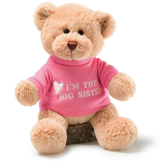 Baby Gift Idea G320154 Gund Im The Big Sister Teddy Bear