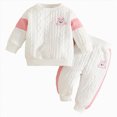 thumbnail image 1 of Baby Girl Fall Winter Clothes Toddler Outfit Letters Graphic Crewneck Sweatshirts + Joggers Pants Set 18-24 Months, 1 of 7