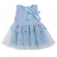 thumbnail image 1 of Baby Girl Lace Tulle Dress,Summer Sleeveless Floral Tutu Princess Dresses Sundress Fluffy Skirt for Gown Pageant Wedding Party Dress,4-24 Months, 1 of 3