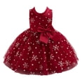 thumbnail image 1 of Baby Girl Pageant Dress Toddler Snowflake Bowknot Princess Flower Wedding Christmas Party Dresses, 1 of 7