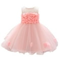 thumbnail image 1 of Baby Girl Party Dress Floral Princess Bridesmaid Pageant Gown Birthday Party Wedding Dress Spring Dresses For Baby Girl Pink 6-12 Months, 1 of 6
