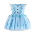 thumbnail image 1 of Baby Girl Princess Dress Sleeveless Floral Embroidery Tulle Dress Toddler Party Dress Light Blue 6-12 Months, 1 of 7