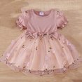 thumbnail image 1 of Baby Girl Ruffle Short Sleeve Lace Tutu Princess Dress Toddler Kids Party Birthday Dresses, 1 of 5